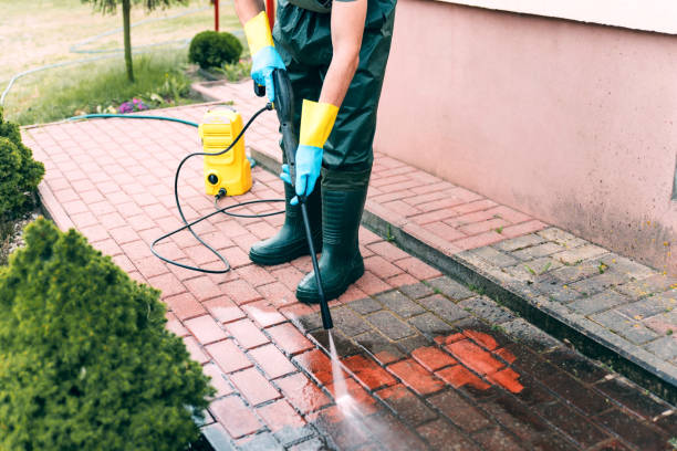 Professional Pressure Washing in Palatine, IL