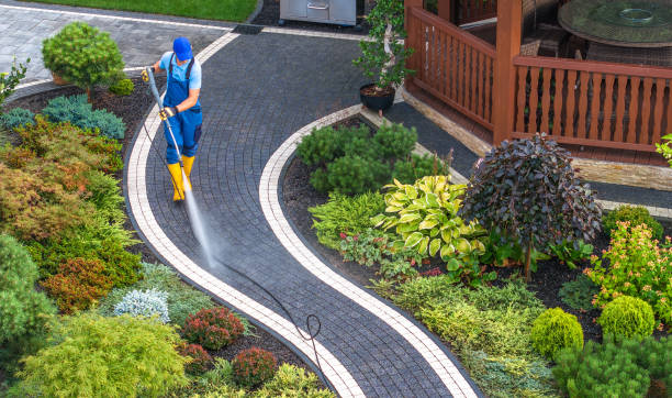 Best Local Pressure Washing Services  in Palatine, IL